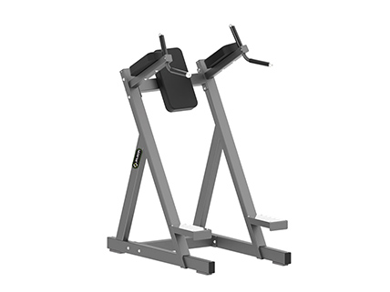 DJ 150 Vertical Knee Raise